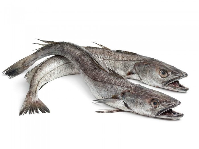 Merluza Coruña, pieza entera 1,6 -...