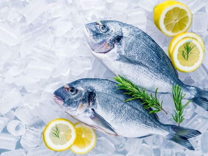 Doradas de piscifactoría