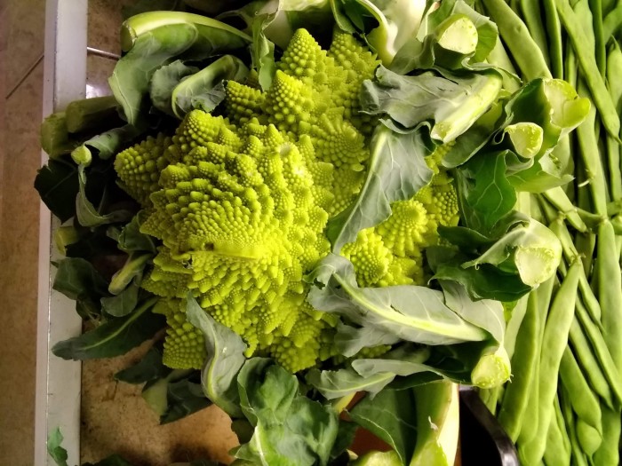 ROMANESCO