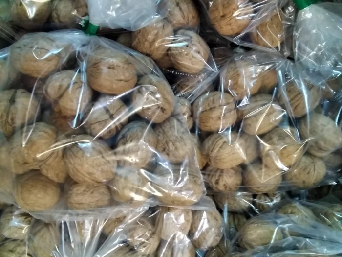 NUECES DEL PAIS