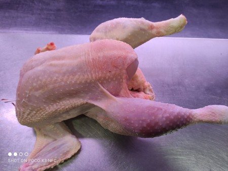 Pollo 1ª categoría A