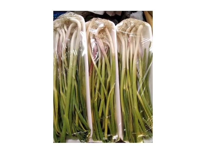 AJOS  TIERNOS RICLA BANDEJA 