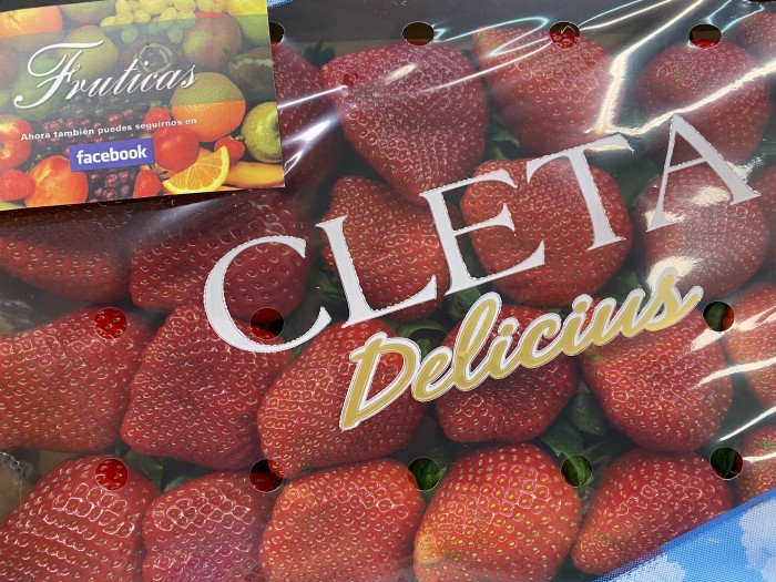 FRESAS SEGOVIA  caja 1 kilo aprox