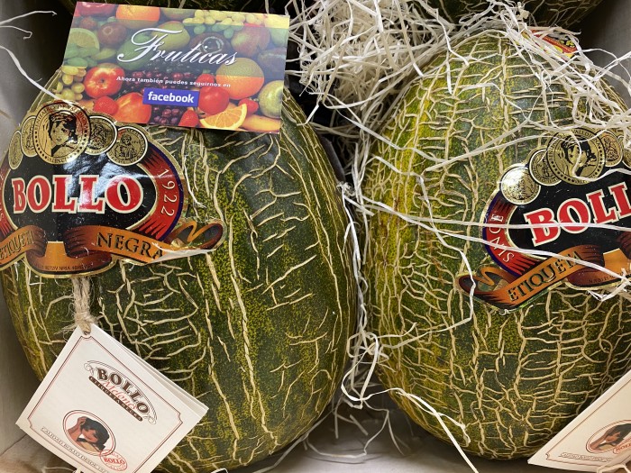 MELON BOLLO BODEGA BRASIL